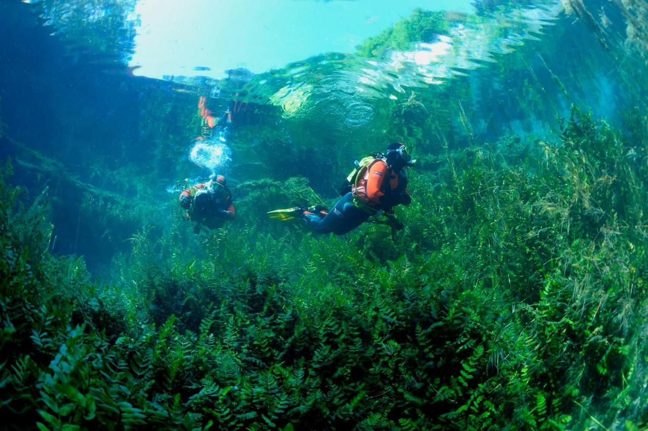 Casa Rosamari - Su Lago Di Posta Fibreno, Appartamento Con Camino Dış mekan fotoğraf