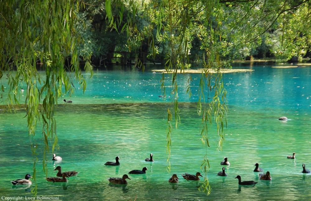 Casa Rosamari - Su Lago Di Posta Fibreno, Appartamento Con Camino Dış mekan fotoğraf